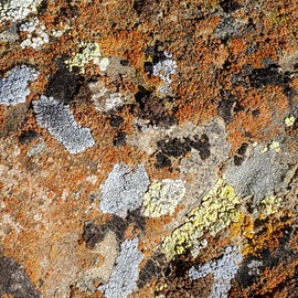 Colorful "hydroglyphics" messages left on stones atop an arroyo