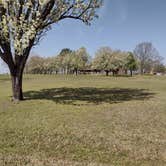 Review photo of Cherokee Landing State Park Campground by Damien B., April 10, 2022