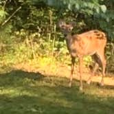 Review photo of Nolin Lake State Park Campground by Beth R., April 10, 2022