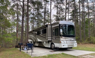Camping near Bluff Hike In Campground — Congaree National Park: Weston Lake Recreation Area, Columbia, South Carolina