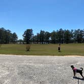 Review photo of Weston Lake Recreation Area by Joy B., April 10, 2022