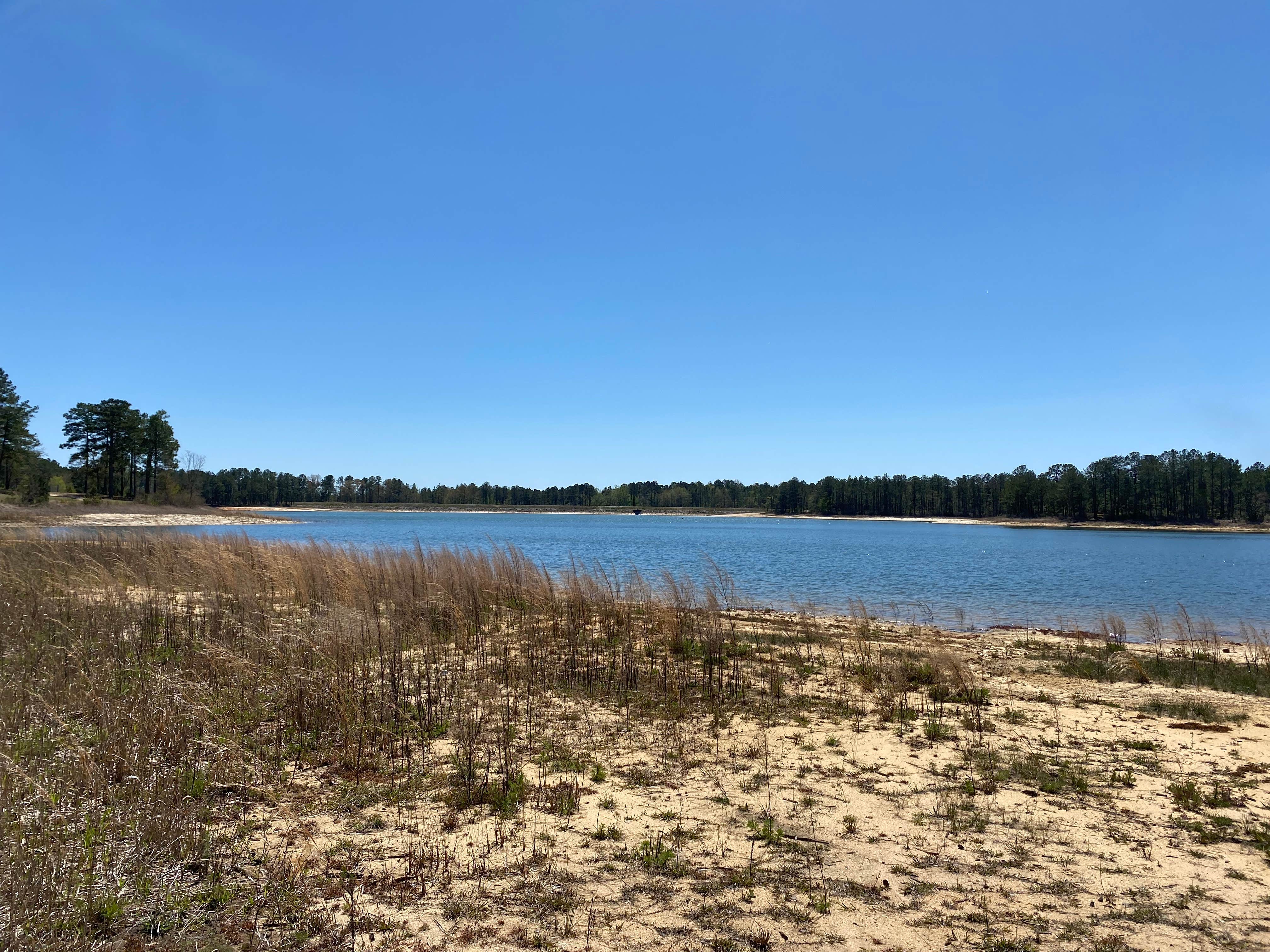 Camper-submitted photo at Weston Lake Recreation Area near Elgin, SC