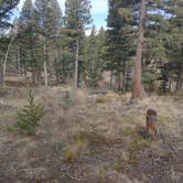 Review photo of Rampart Range Road - Dispersed Camping  by Sam P., April 10, 2022