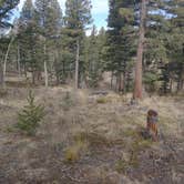 Review photo of Rampart Range Road - Dispersed Camping by Sam P., April 10, 2022