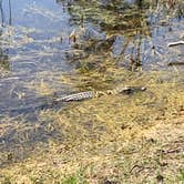 Review photo of Crooked River State Park Campground by Natalie A., July 12, 2018