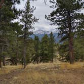 Review photo of Rampart Range Road - Dispersed Camping  by Sam P., April 10, 2022