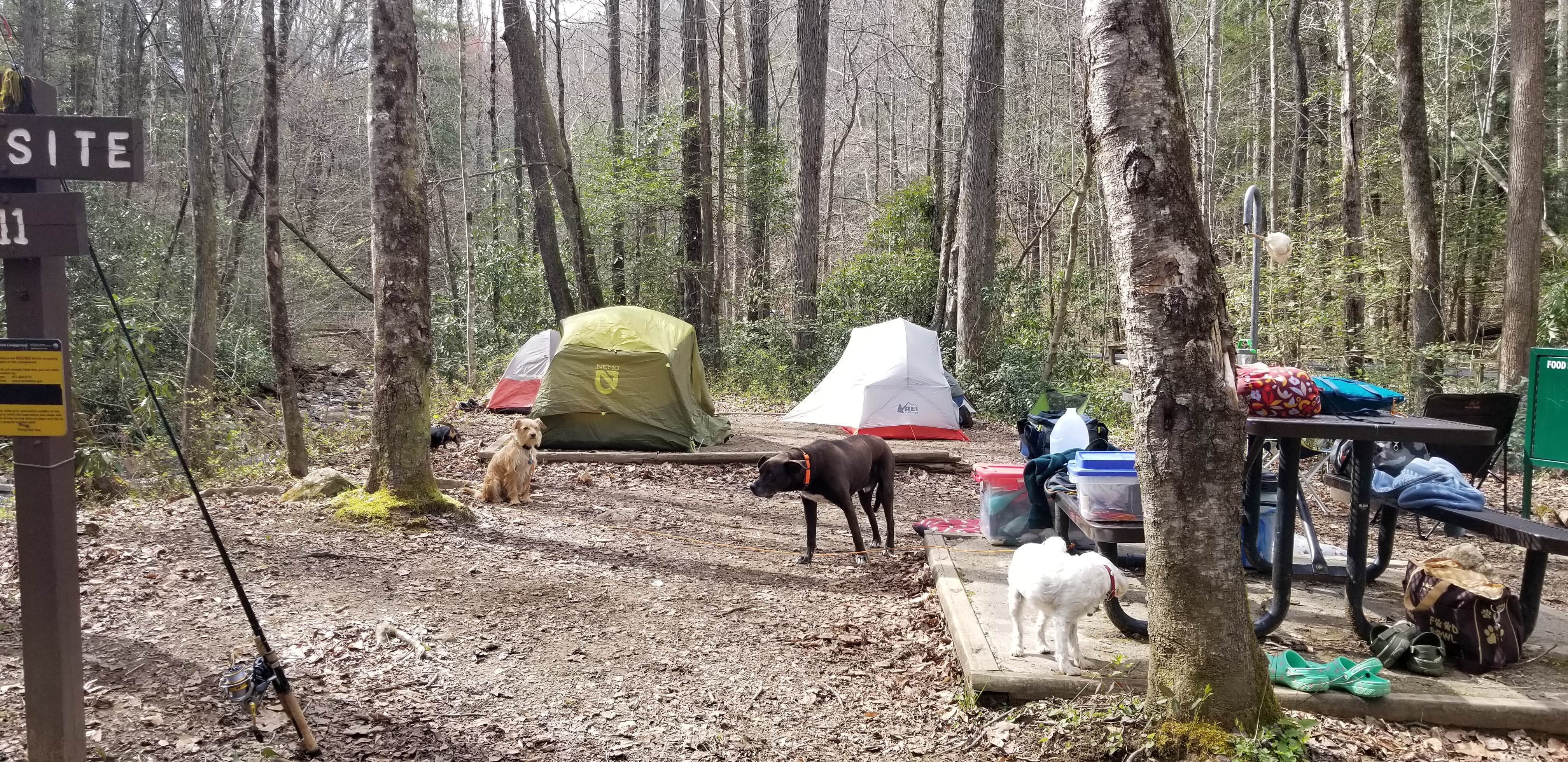 Katrin M.'s photo at Rock Creek Campground — Obed Wild and Scenic River near Harriman, TN