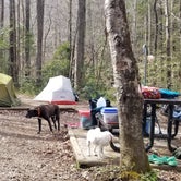 Review photo of Rock Creek Campground — Obed Wild and Scenic River by Katrin M., April 10, 2022
