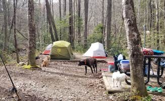 Katrin M.'s photo at Rock Creek Campground — Obed Wild and Scenic River near Harriman, TN
