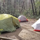 Review photo of Rock Creek Campground — Obed Wild and Scenic River by Katrin M., April 10, 2022