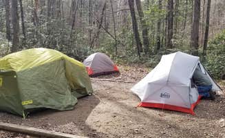 Katrin M.'s photo at Rock Creek Campground — Obed Wild and Scenic River near Rockwood, TN