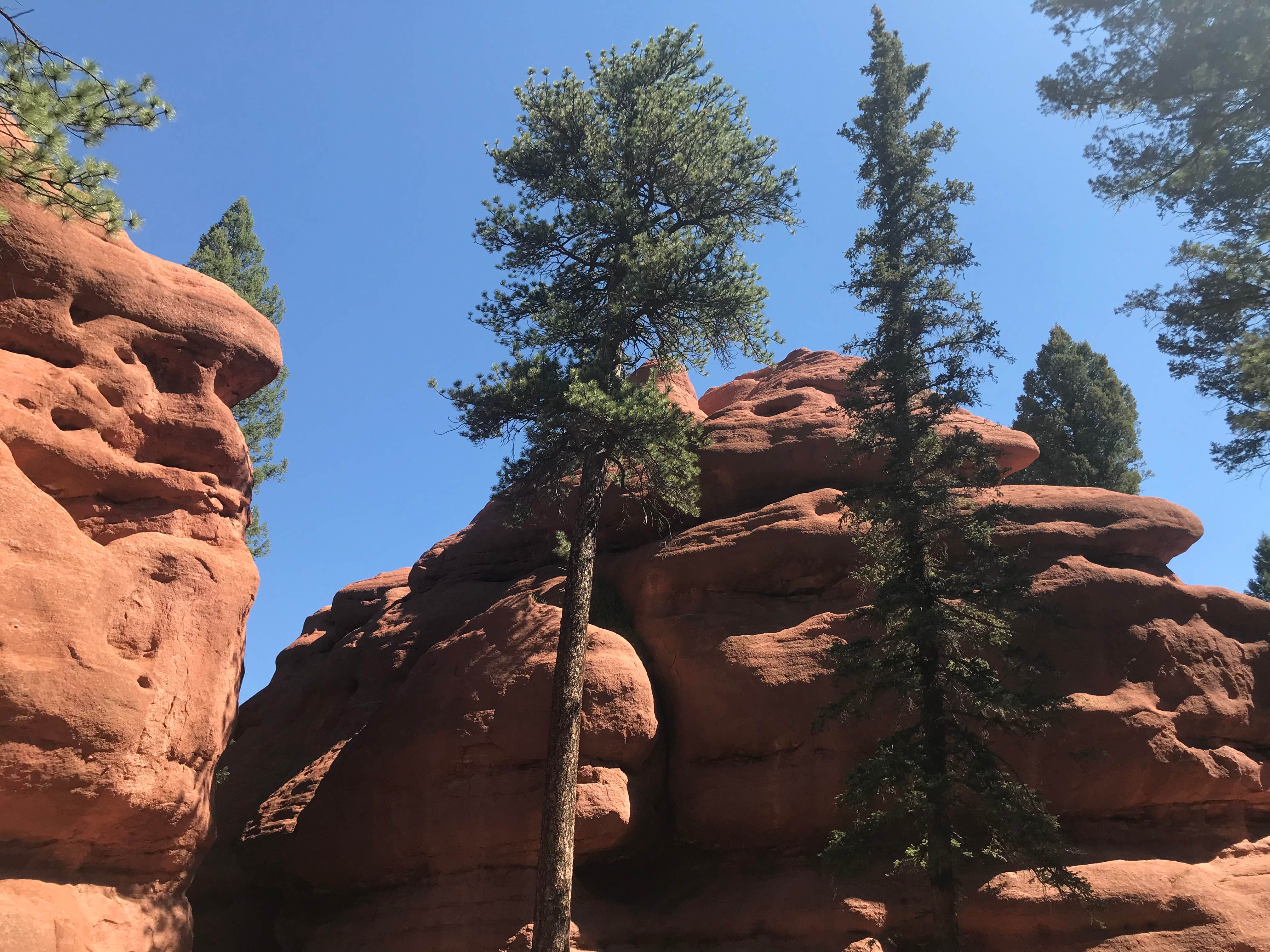 Colorado’s Hidden Gem: Painted Rocks Campground – A Painter’s Paradise