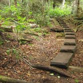 Review photo of Windigo Cabins — Isle Royale National Park by Sarah C., April 10, 2022