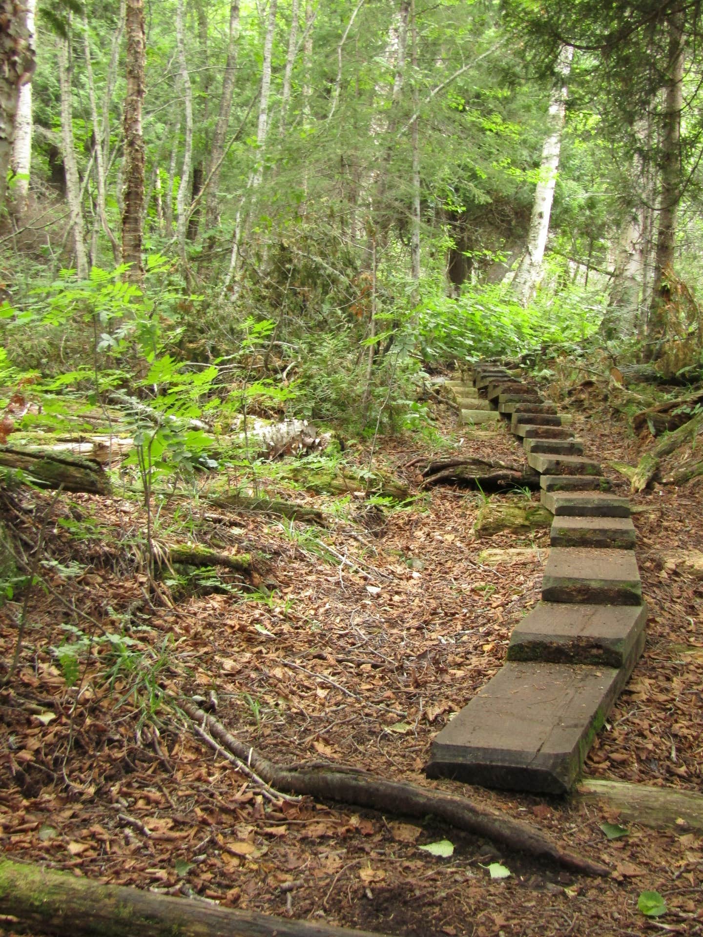 Camper submitted image from Windigo Cabins — Isle Royale National Park - 4