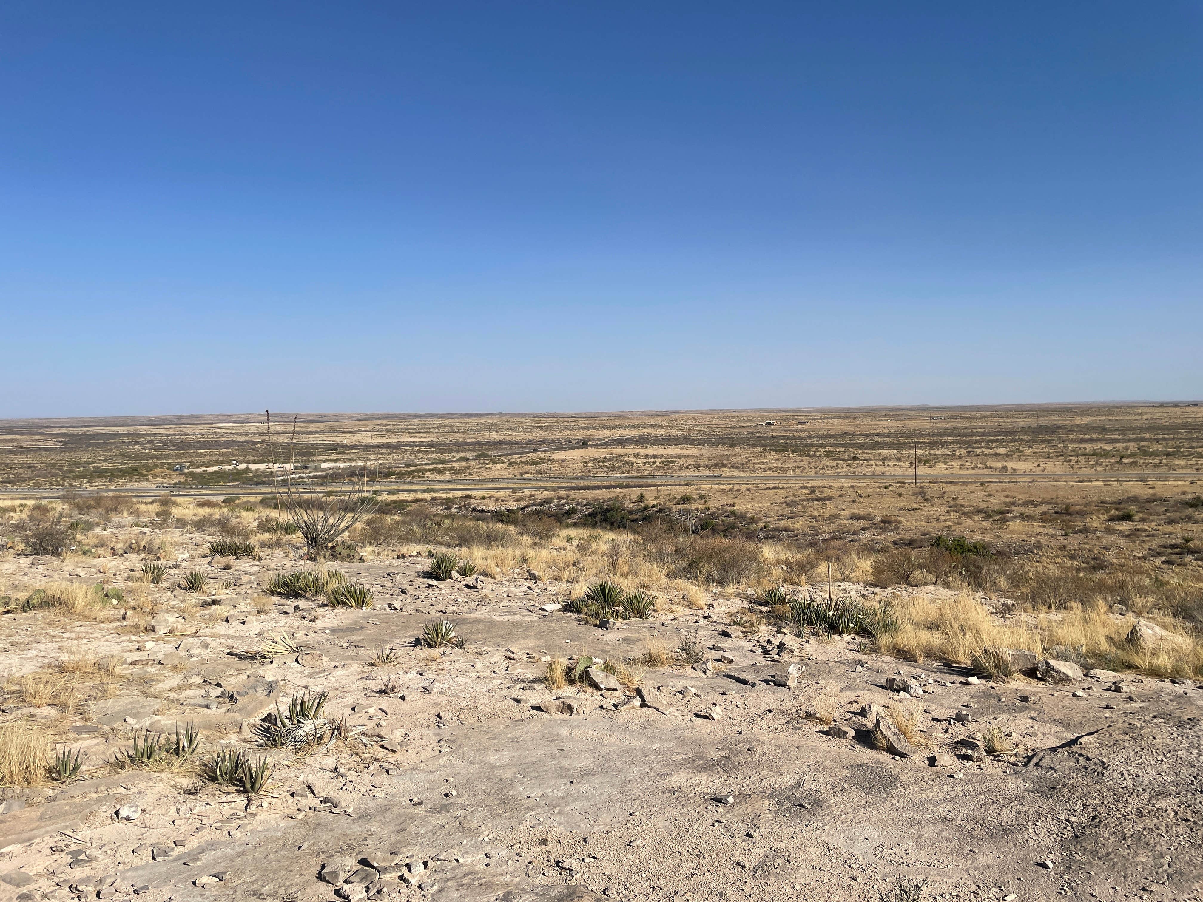 Camper submitted image from Carlsbad Caverns Dispersed - 3