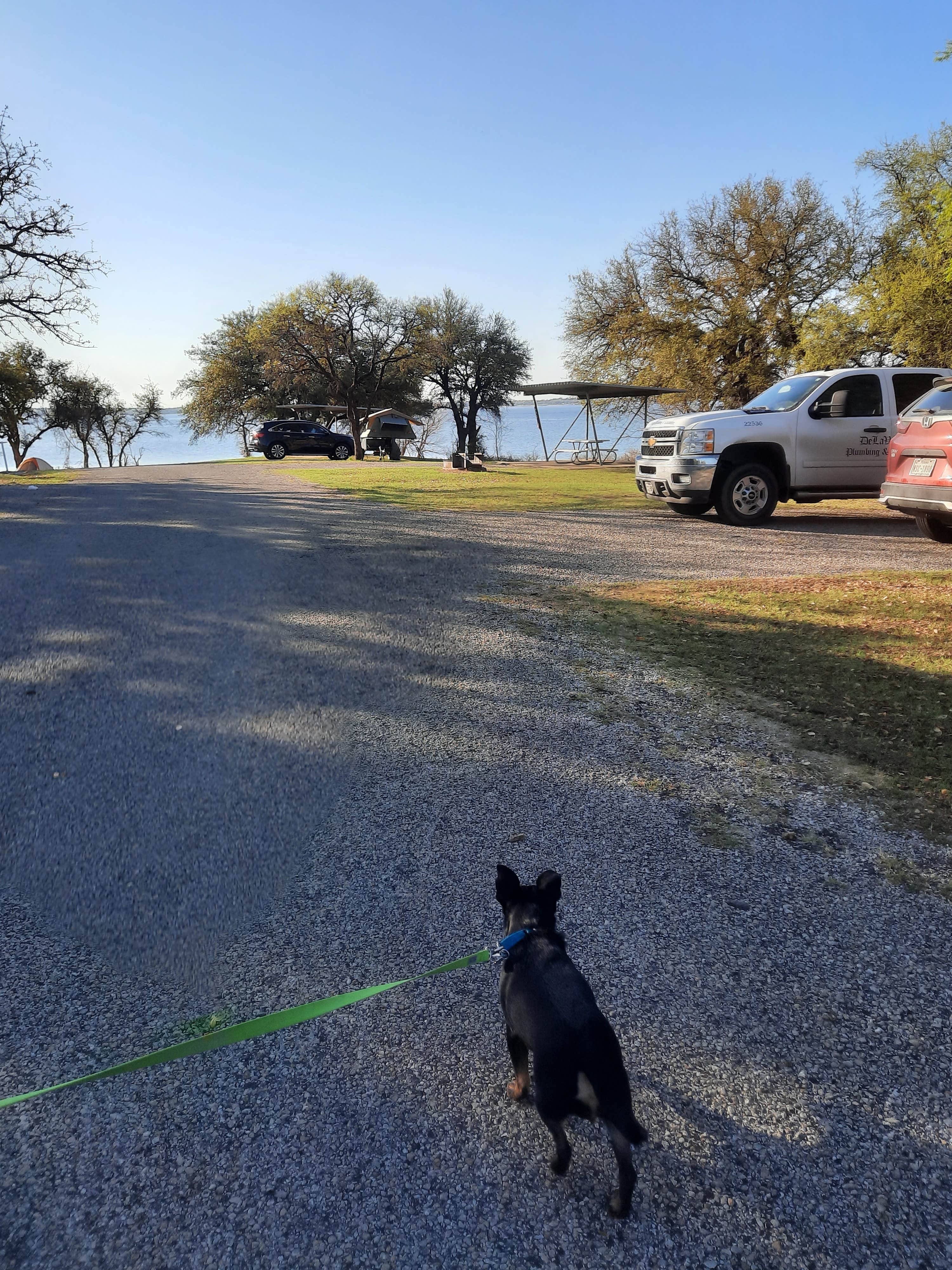 Whitney V.'s photo of camping with pets at Lake Whitney State Park Campground near Navarro Mills Lake