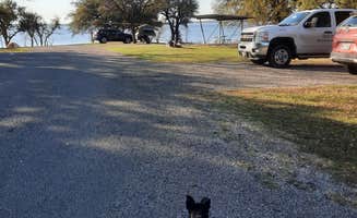 Whitney V.'s photo of camping with pets at Lake Whitney State Park Campground near Navarro Mills Lake