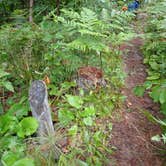 Review photo of South Lake Desor Campground — Isle Royale National Park by Sarah C., April 10, 2022