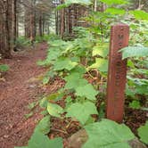 Review photo of Todd Harbor Campground — Isle Royale National Park by Sarah C., April 10, 2022