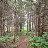 Review photo of Todd Harbor Campground — Isle Royale National Park by Sarah C., April 10, 2022