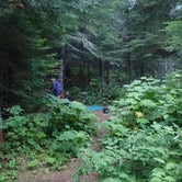 Review photo of Todd Harbor Campground — Isle Royale National Park by Sarah C., April 10, 2022