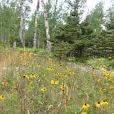 Review photo of McCargoe Cove Campground — Isle Royale National Park by Sarah C., April 10, 2022