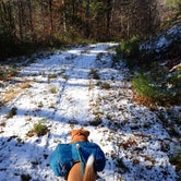 Review photo of White Mountain National Forest by Sarah C., April 11, 2022