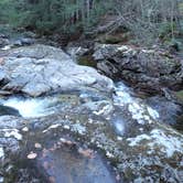 Review photo of White Mountain National Forest by Sarah C., April 11, 2022