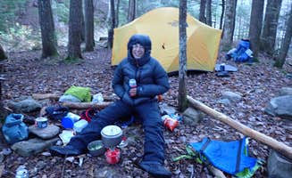 Sarah C.'s photo at White Mountain National Forest near White Mountain National Forest