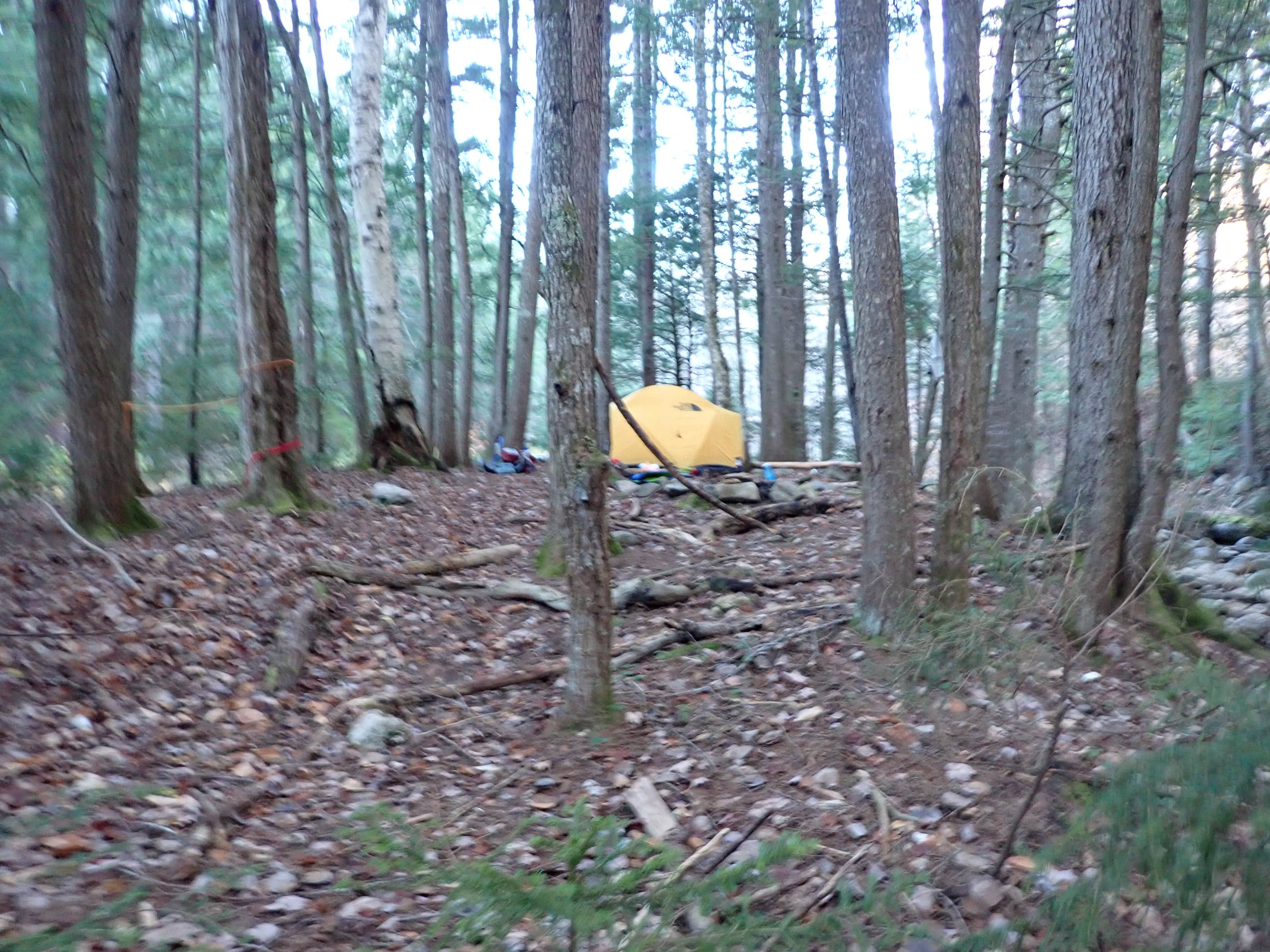 Camping near Sawyer Pond: White Mountain National Forest, Bartlett, New Hampshire