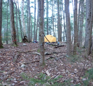 Camper-submitted photo from White Mountain National Forest