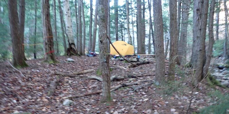 Camper submitted image from White Mountain National Forest