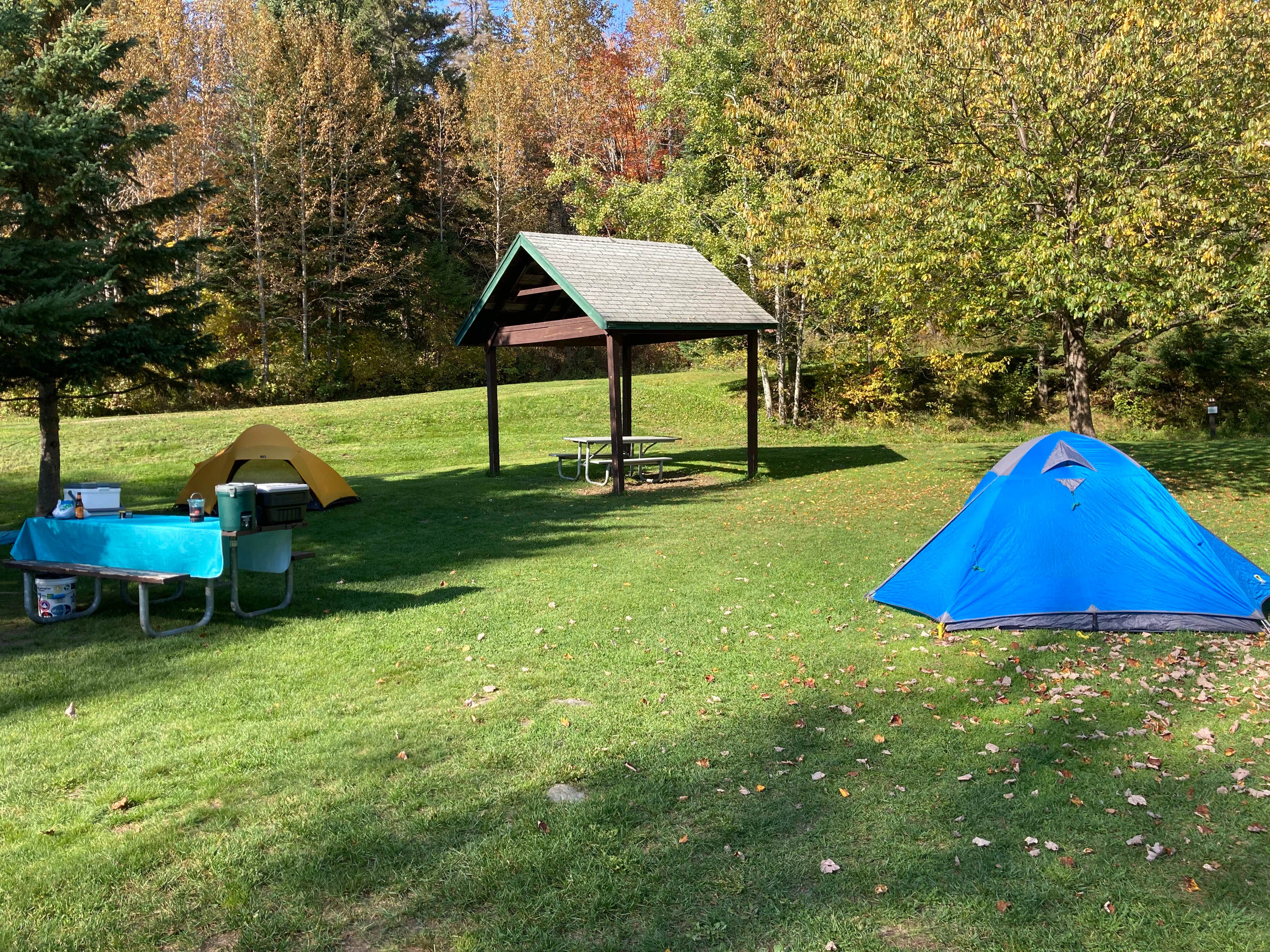 Sarah C.'s photo at Lake Francis State Park Campground near Norton, VT