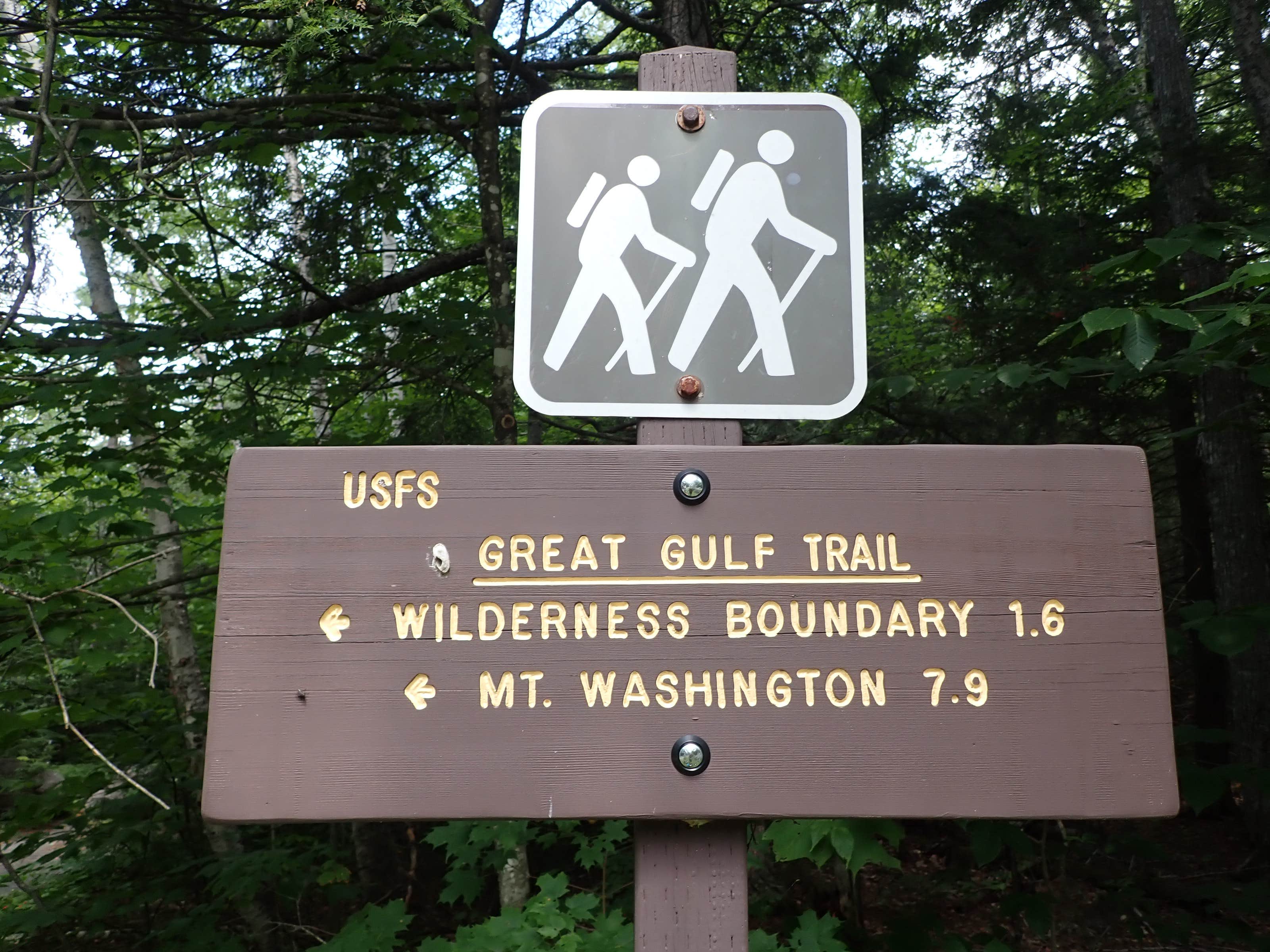Camper submitted image from The Bluff- Great Gulf Wilderness - 2