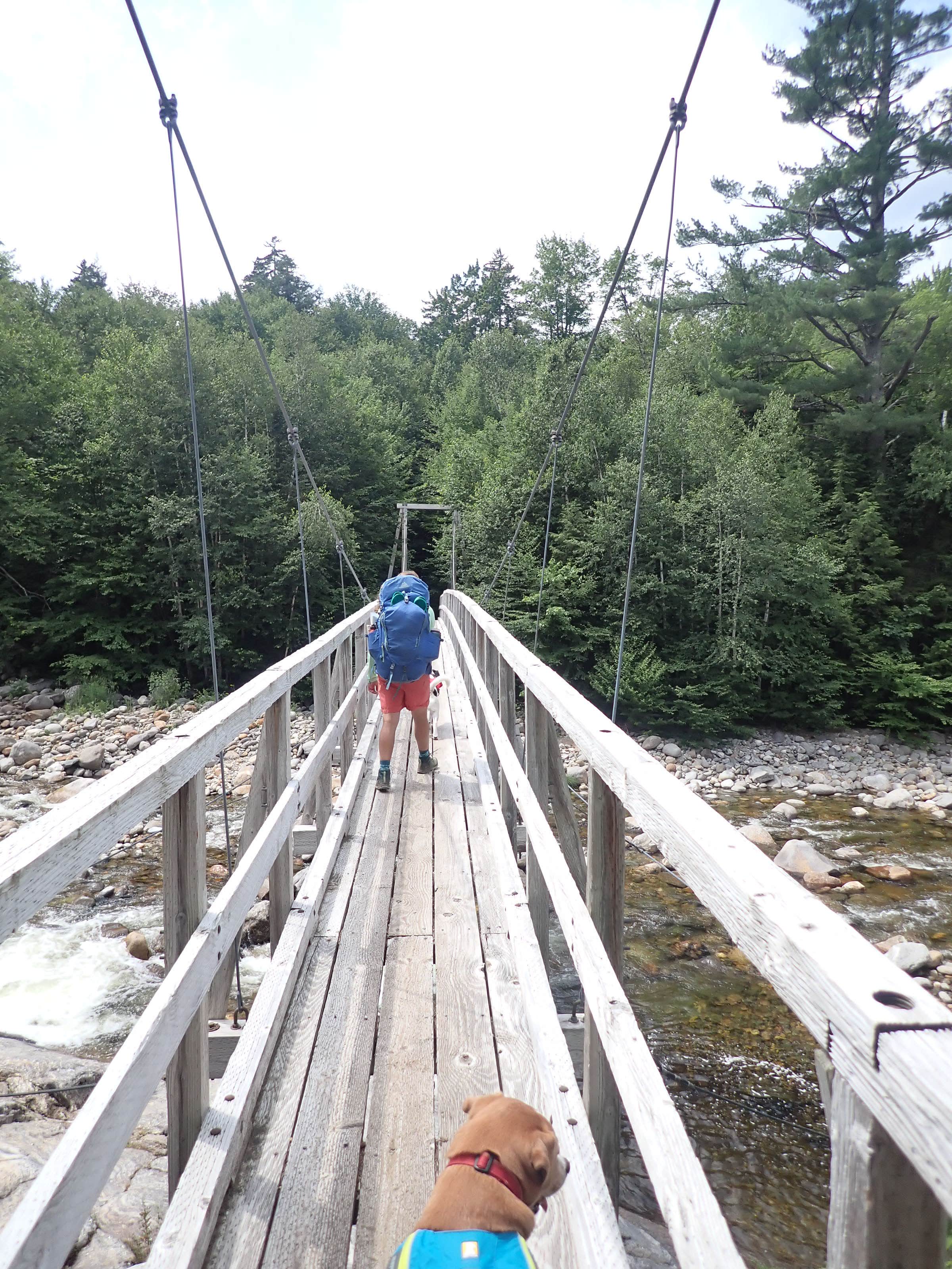 Camper submitted image from The Bluff- Great Gulf Wilderness - 5