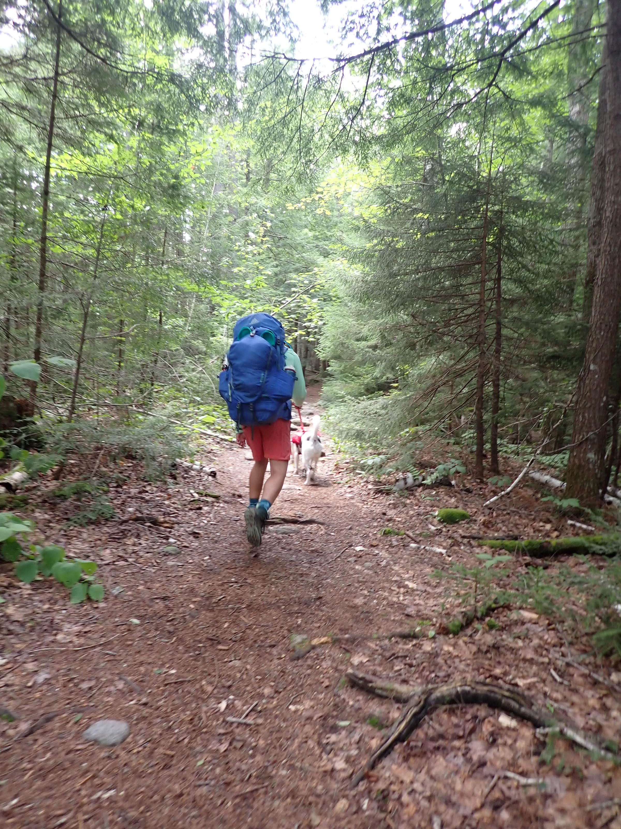 Camper submitted image from The Bluff- Great Gulf Wilderness - 3