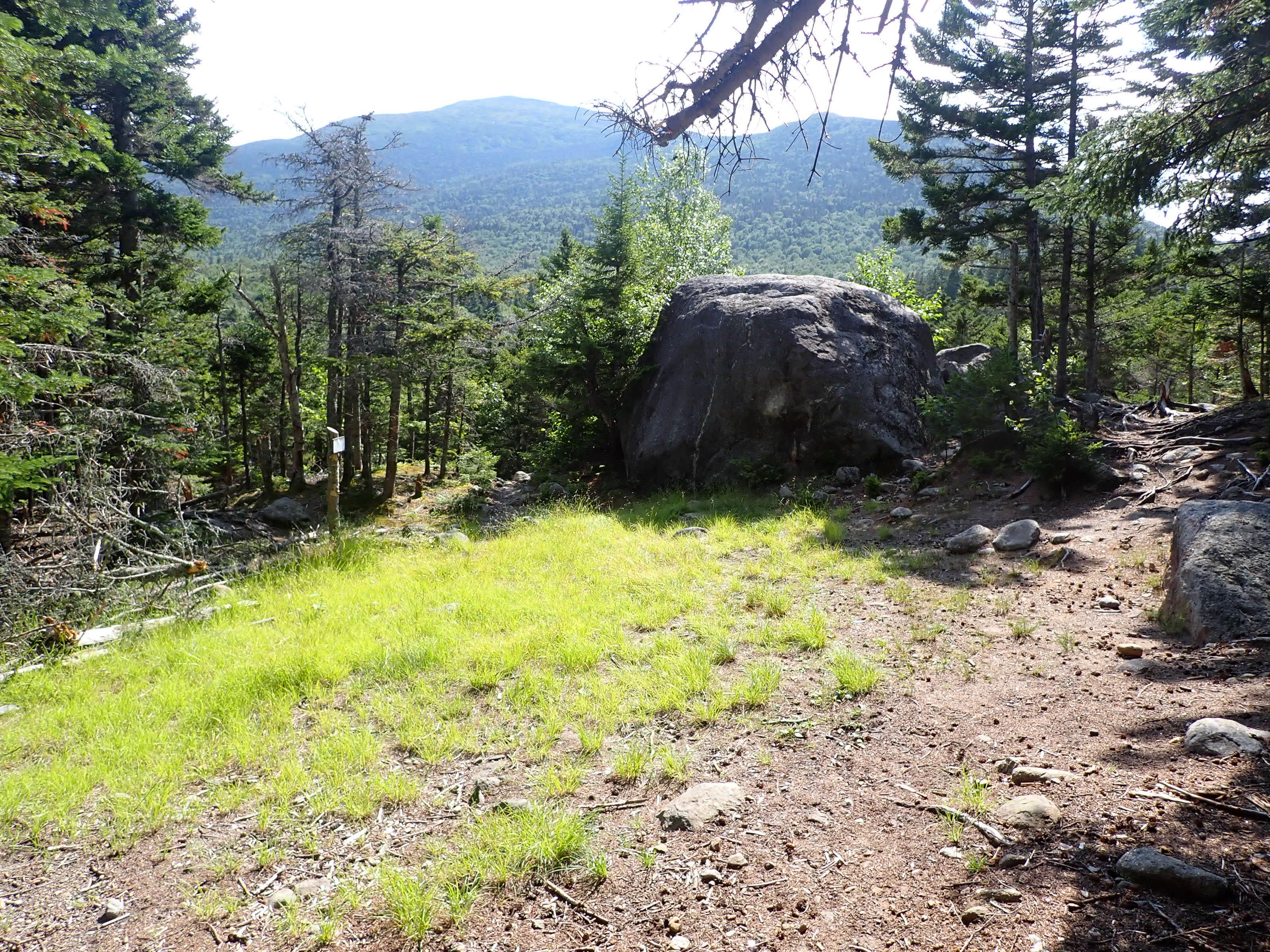 Camper submitted image from The Bluff- Great Gulf Wilderness - 5