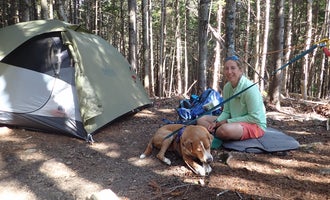Camping near Valley Way Tentsite: The Bluff- Great Gulf Wilderness, Randolph, New Hampshire
