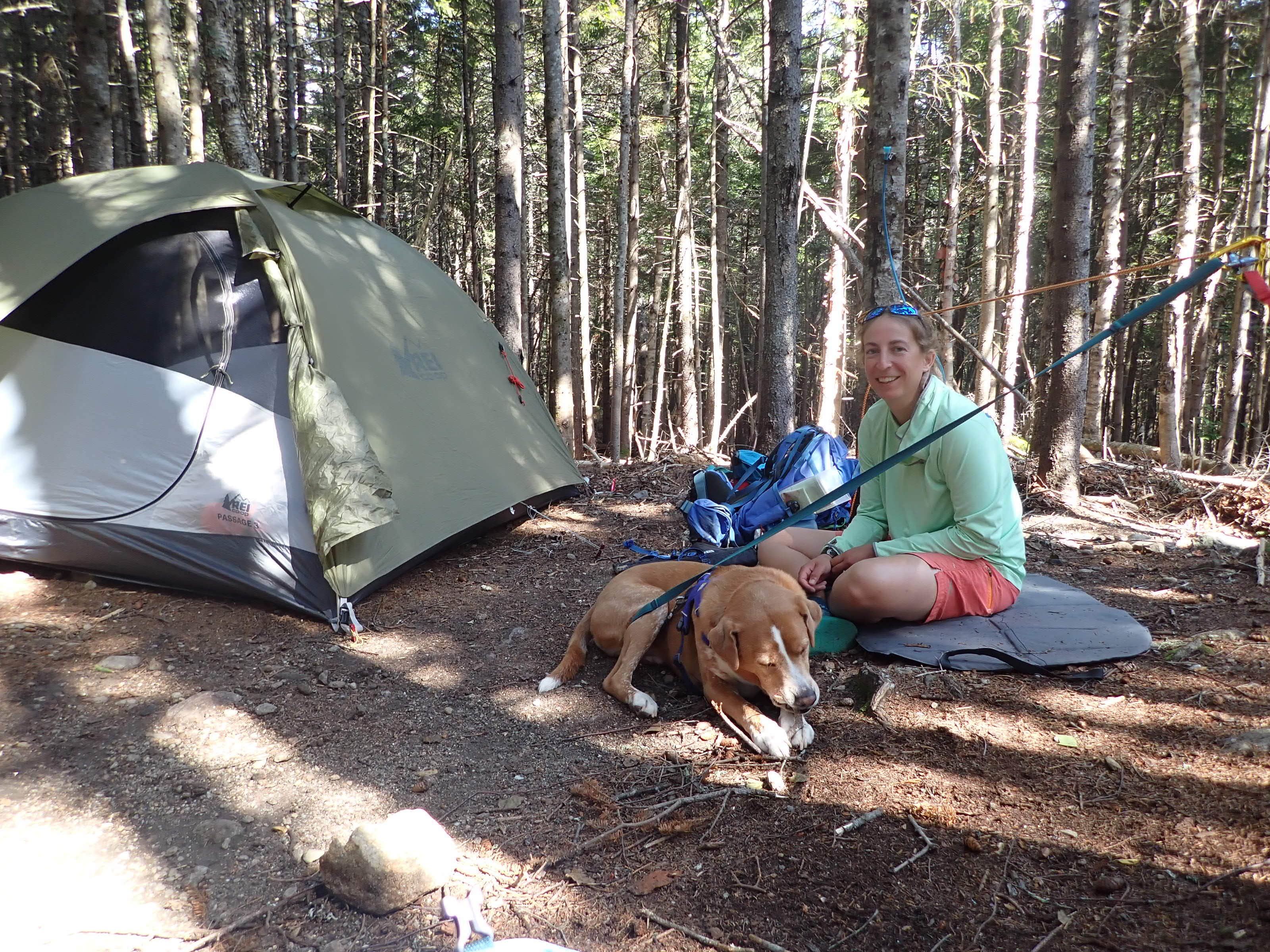 Camper submitted image from The Bluff- Great Gulf Wilderness - 1