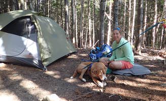 Sarah C.'s photo of tent camping at The Bluff- Great Gulf Wilderness near Jackson, NH