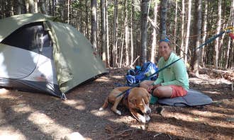 Camping near Valley Way Tentsite: The Bluff- Great Gulf Wilderness, Randolph, New Hampshire