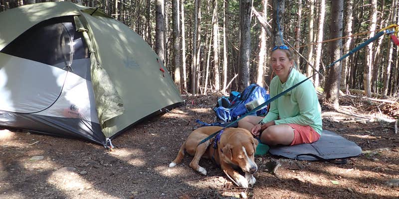 Camper submitted image from The Bluff- Great Gulf Wilderness