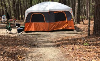 Amelia P.'s photo at William B. Umstead State Park Campground near Smithfield, NC