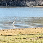 Review photo of Willow Grove Park by Joyce L., April 11, 2022