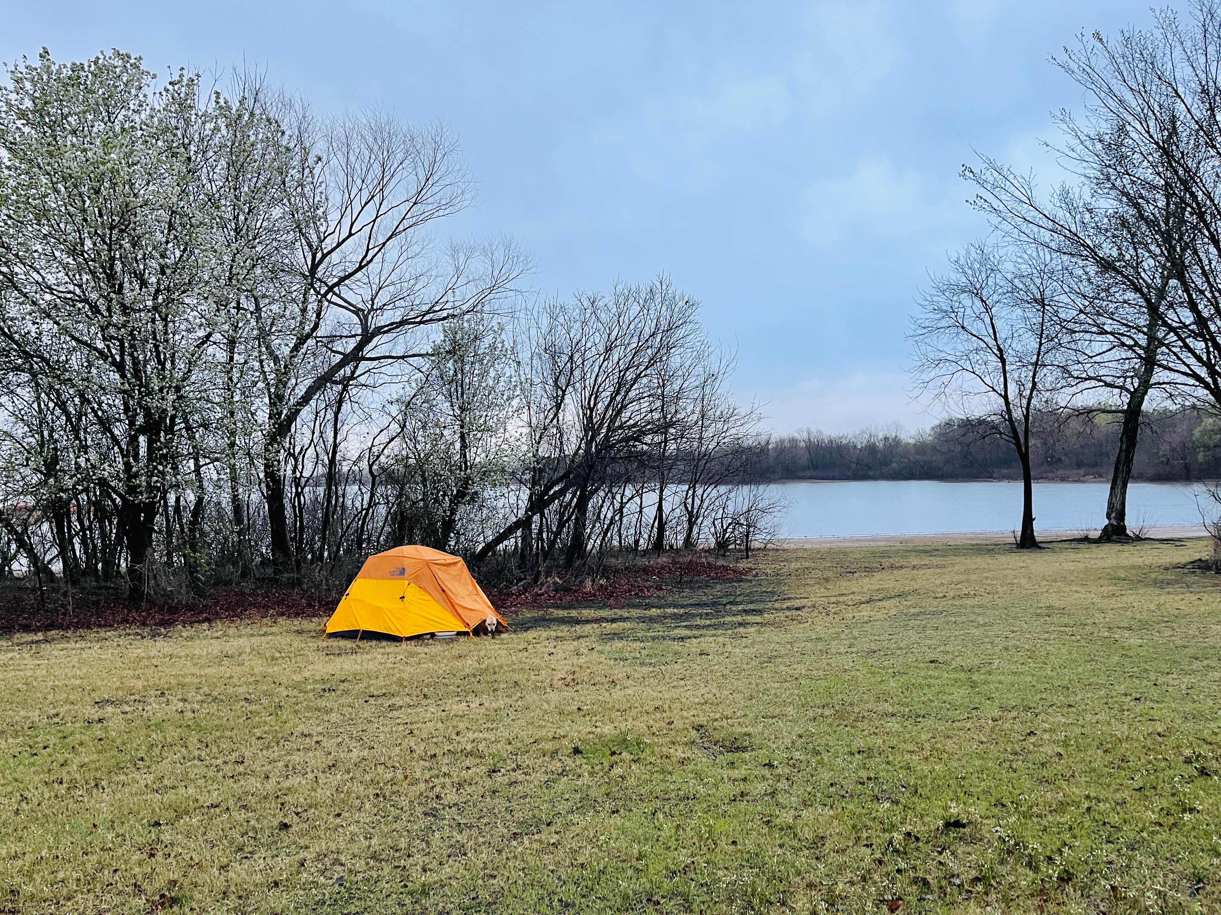 Joyce L.'s photo at Willow Grove Park near Addison, TX