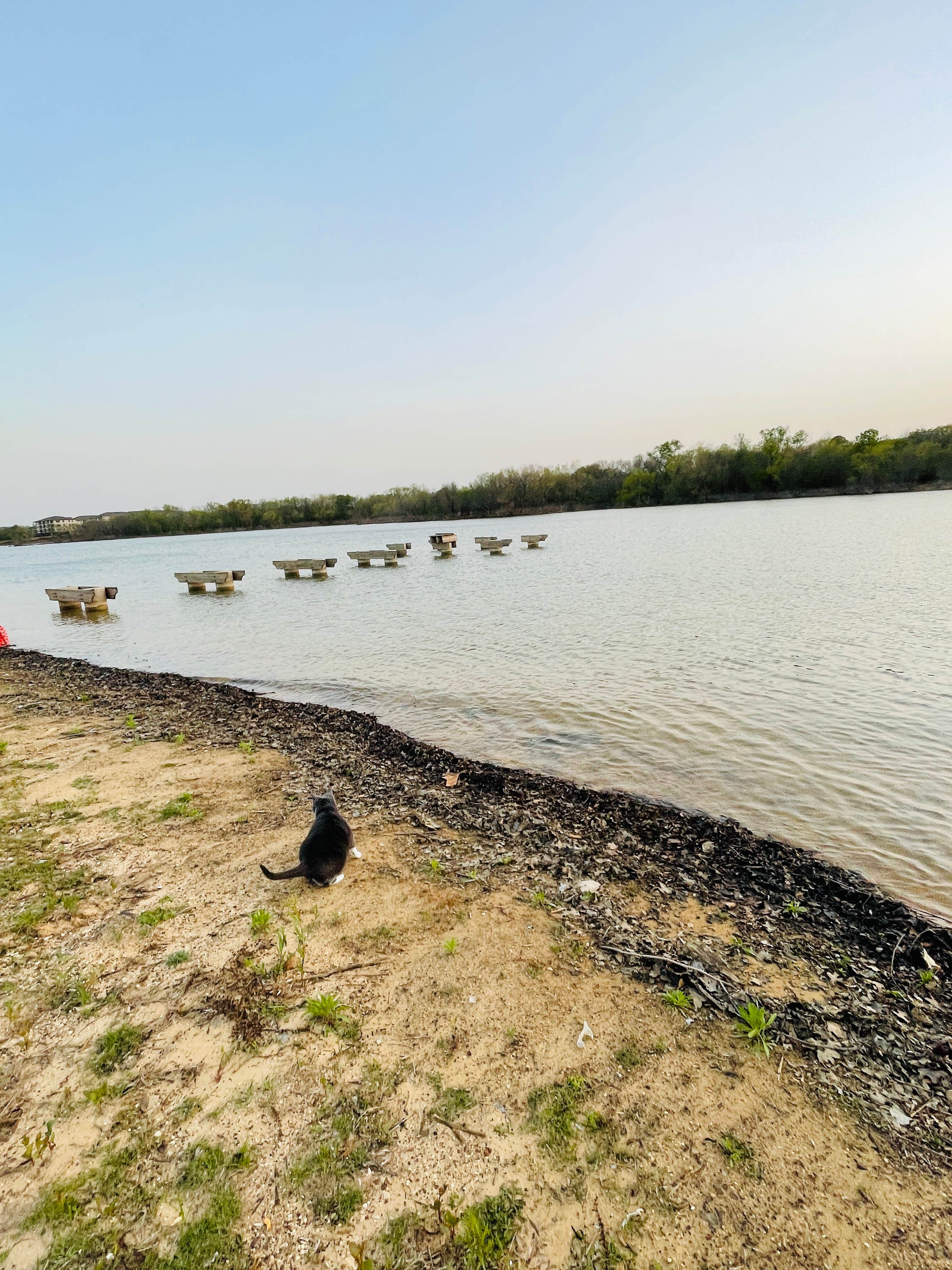 Joyce L.'s photo of camping with pets at Willow Grove Park near The Colony, TX