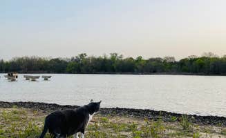 Joyce L.'s photo of camping with pets at Willow Grove Park near Roanoke, TX