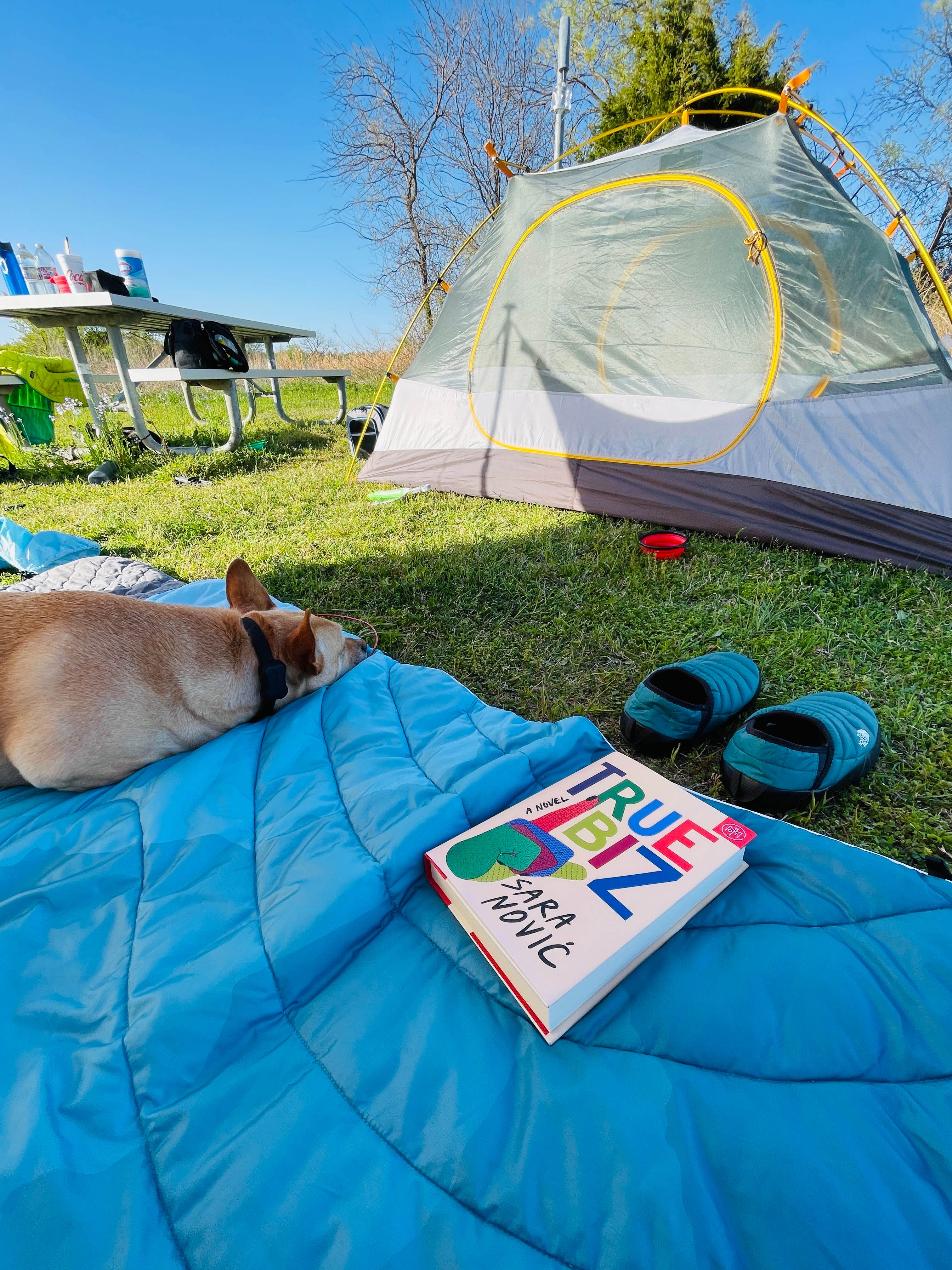Joyce L.'s photo of camping with pets at Johnson Branch Campsites — Ray Roberts Lake State Park near Sadler, TX