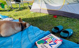 Joyce L.'s photo at Johnson Branch Campsites — Ray Roberts Lake State Park near Alvord, TX
