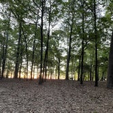 Review photo of Cypress View Campground — Santee State Park by Josh H., April 11, 2022